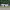 Pony Sports Event at Aros – Rios Equestrian Club cover
