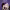 https://res.cloudinary.com/billionhands/image/upload/v1778987015/items/fwwfwukcnnu8bowjlve9.jpg-0cover