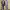 https://res.cloudinary.com/billionhands/image/upload/v1778987027/items/ln79elivprg8b9sksakd.webp-2cover