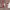 https://res.cloudinary.com/billionhands/image/upload/v1778987030/items/fulomadgbepxuhgxtbo7.webp-1cover