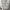 https://res.cloudinary.com/billionhands/image/upload/v1778988142/items/fpjomvz5sjnt9virc7gf.webp-3cover