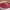 https://res.cloudinary.com/billionhands/image/upload/v1778988158/items/vovdoqs7nkjidjdj2sog.jpg-2cover