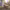 https://res.cloudinary.com/billionhands/image/upload/v1778993013/items/z4ckklmzenhtglqnjwtu.jpg-2cover