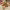 https://res.cloudinary.com/billionhands/image/upload/v1779004928/items/b70gaxyhbj0iikcsy23v.webp-2cover
