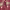 https://res.cloudinary.com/billionhands/image/upload/v1779007669/items/m7xvlnlkqtjrvejxu6rp.jpg-3cover