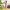 https://res.cloudinary.com/billionhands/image/upload/v1779023441/items/jaxheinppnmsspj6njze.jpg-2cover