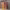 https://res.cloudinary.com/billionhands/image/upload/v1779024927/items/oanaa4ycxqvd47bfcjrk.webp-2cover