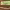 https://res.cloudinary.com/billionhands/image/upload/v1779024934/items/eeob4jix55usmstbuxo1.webp-3cover