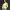 https://res.cloudinary.com/billionhands/image/upload/v1779029601/items/x5djmua7fvl0twyruhkf.webp-2cover