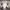 https://res.cloudinary.com/billionhands/image/upload/v1779030685/items/u6b0vhvppf1zegasrome.jpg-0cover