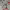 https://res.cloudinary.com/billionhands/image/upload/v1779037911/items/jqmvxqepzfgofnvasx96.webp-2cover