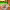 https://res.cloudinary.com/billionhands/image/upload/v1779043283/items/bu0zxnmpq3agiwm5fxpt.jpg-0cover