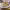 https://res.cloudinary.com/billionhands/image/upload/v1779043285/items/cdvc0uovroxe8htp1qnv.jpg-2cover