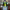 https://res.cloudinary.com/billionhands/image/upload/v1779043964/items/culjbwduxzkq4omvrpfq.webp-0cover