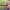 https://res.cloudinary.com/billionhands/image/upload/v1779046964/items/mzpbz4bpbocz9fskwt1x.jpg-3cover