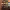 https://res.cloudinary.com/billionhands/image/upload/v1779048959/items/pfpokn0bcbswyfm2kbps.jpg-1cover
