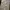 https://res.cloudinary.com/billionhands/image/upload/v1779049467/items/nf7ttnyjkefggknhnusp.jpg-3cover