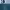 International Organization cover