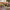 https://res.cloudinary.com/billionhands/image/upload/v1779052624/items/mtso72ybj1gc0itu4hgc.webp-3cover