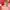 https://res.cloudinary.com/billionhands/image/upload/v1779054345/items/gqgatkjzguwiuqidqxbb.jpg-2cover