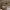 https://res.cloudinary.com/billionhands/image/upload/v1779054844/items/xnujtno95n2jnwkcyw0t.webp-2cover