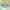 https://res.cloudinary.com/billionhands/image/upload/v1779056239/items/twgp92s3ye4e6tklpuvx.jpg-0cover