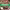 Joe Bastianich cover