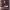 https://res.cloudinary.com/billionhands/image/upload/v1779071520/items/wn1gkxr9mvvuniiq4lqw.jpg-1cover