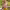 https://res.cloudinary.com/billionhands/image/upload/v1779075761/items/bvc5be4i9xogc5dthigg.webp-3cover