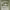 https://res.cloudinary.com/billionhands/image/upload/v1779086209/items/rwb7izpwcbacosx1xghq.jpg-2cover