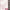 https://res.cloudinary.com/billionhands/image/upload/v1779087105/items/tipbzgzmcbha5yvumz16.jpg-1cover