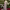Monica Barbaro's Sheer Gray Dior Strapless Gown (Golden Globes 2025) cover