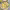 https://res.cloudinary.com/billionhands/image/upload/v1779091383/items/ozbcdq8rtv8xexqx1inx.jpg-2cover
