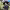 https://res.cloudinary.com/billionhands/image/upload/v1779094771/items/r5pxlfetmnhafqdrddol.webp-2cover