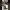 https://res.cloudinary.com/billionhands/image/upload/v1779103154/items/x5wpptrywyihaz8x5jc6.jpg-3cover