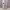 https://res.cloudinary.com/billionhands/image/upload/v1779105823/items/oqa2uugzpsadobnogpwf.webp-1cover