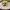 https://res.cloudinary.com/billionhands/image/upload/v1779110377/items/qqou1zfrv7vfotmsqhjp.jpg-1cover