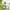 https://res.cloudinary.com/billionhands/image/upload/v1779111569/items/b3ovqpntf0f9zdrfhfzu.jpg-0cover