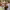 https://res.cloudinary.com/billionhands/image/upload/v1779133452/items/l0jayo6xzcm1vyvgbrsj.webp-0cover