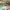 https://res.cloudinary.com/billionhands/image/upload/v1779133457/items/njl1jiguswgtstgo9zka.avif-3cover