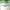 https://res.cloudinary.com/billionhands/image/upload/v1779133838/items/f9xujkmz6fxcspykfxla.jpg-2cover