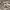 https://res.cloudinary.com/billionhands/image/upload/v1779137506/items/pqrgrcqwuj25ofebybta.png-1cover