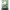 https://res.cloudinary.com/billionhands/image/upload/v1779137693/items/n1ri3lgmd7mvvyukpdja.webp-3cover