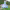 https://res.cloudinary.com/billionhands/image/upload/v1779139421/items/xz6kxtlgbffofugpomuw.webp-2cover