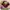 https://res.cloudinary.com/billionhands/image/upload/v1779150024/items/zqvog0y1ym7wlagjfqev.jpg-0cover