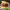 https://res.cloudinary.com/billionhands/image/upload/v1779159107/items/fdjlqhnlsp2tgmdpbuoe.jpg-2cover