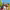https://res.cloudinary.com/billionhands/image/upload/v1779159135/items/cjsfjsmwn1zoyny4r7ps.jpg-2cover