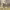 https://res.cloudinary.com/billionhands/image/upload/v1779168541/items/muvzi73tzmd91g5aqosw.jpg-1cover