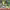 https://res.cloudinary.com/billionhands/image/upload/v1779168548/items/hazxysk460plwlfsopwl.jpg-1cover