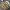 https://res.cloudinary.com/billionhands/image/upload/v1779171079/items/ar3temsqvxyb4iwzwscw.jpg-1cover